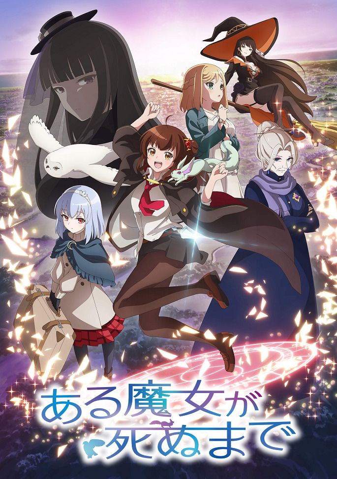 Постер Пока ведьма не умрёт